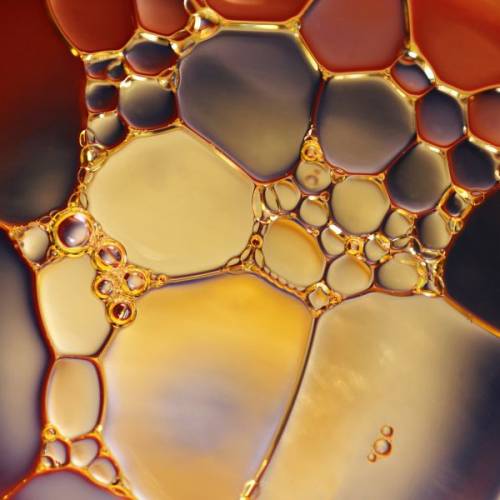 Enzyme Activators and Yellowing Preventers